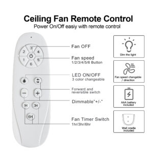 Metallic Black Ceiling Fan