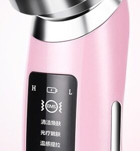 Skin rejuvenation instrument introduction instrument