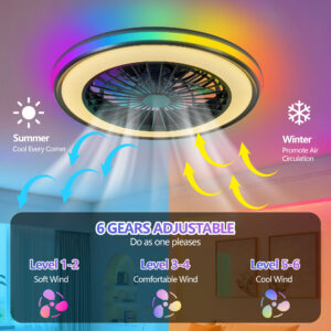 Modern LED Ceiling Light With Fan, RGB Ceiling Fan Lights, Infinitely Dimmable Light ForLiving Room, Bedroom, Office, 3000-4500-6000 K Black & 20 & RGB