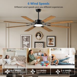 72-Inch 8-Blade Large Ceiling Fan,Reversible Quiet DC Motor,Indoor Outdoor Modern Ceiling Fan,Suitable For Kitchen,Living Room And Terrace,Black.